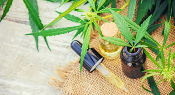 What is a CBD Tincture?